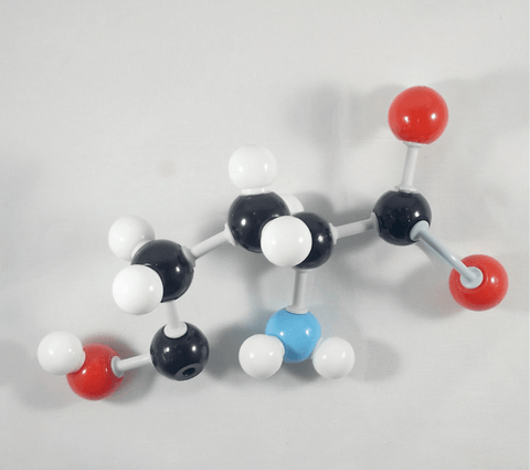 Glutamic Acid Molecule