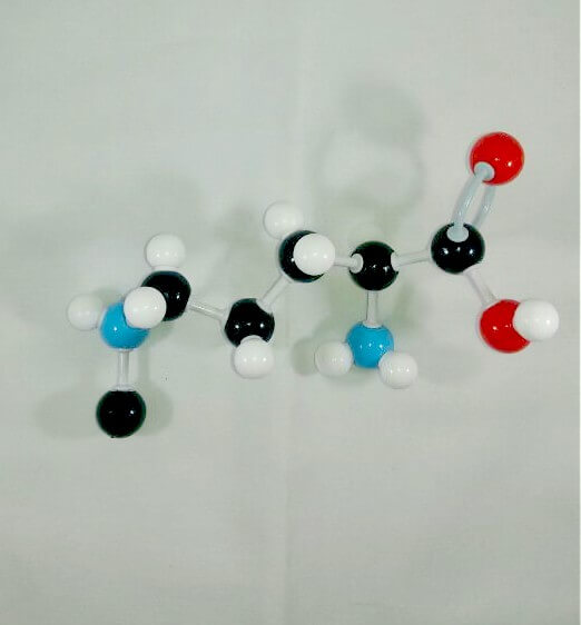 Arginine Molecule