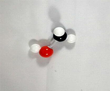 Geraniol Molecule