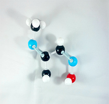 Pralidoxime Molecule