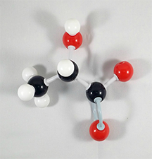 Lactic Acid Molecule