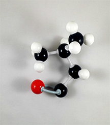 Menthone Molecule