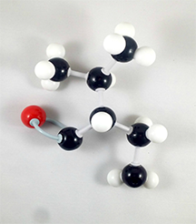 Menthone Molecule