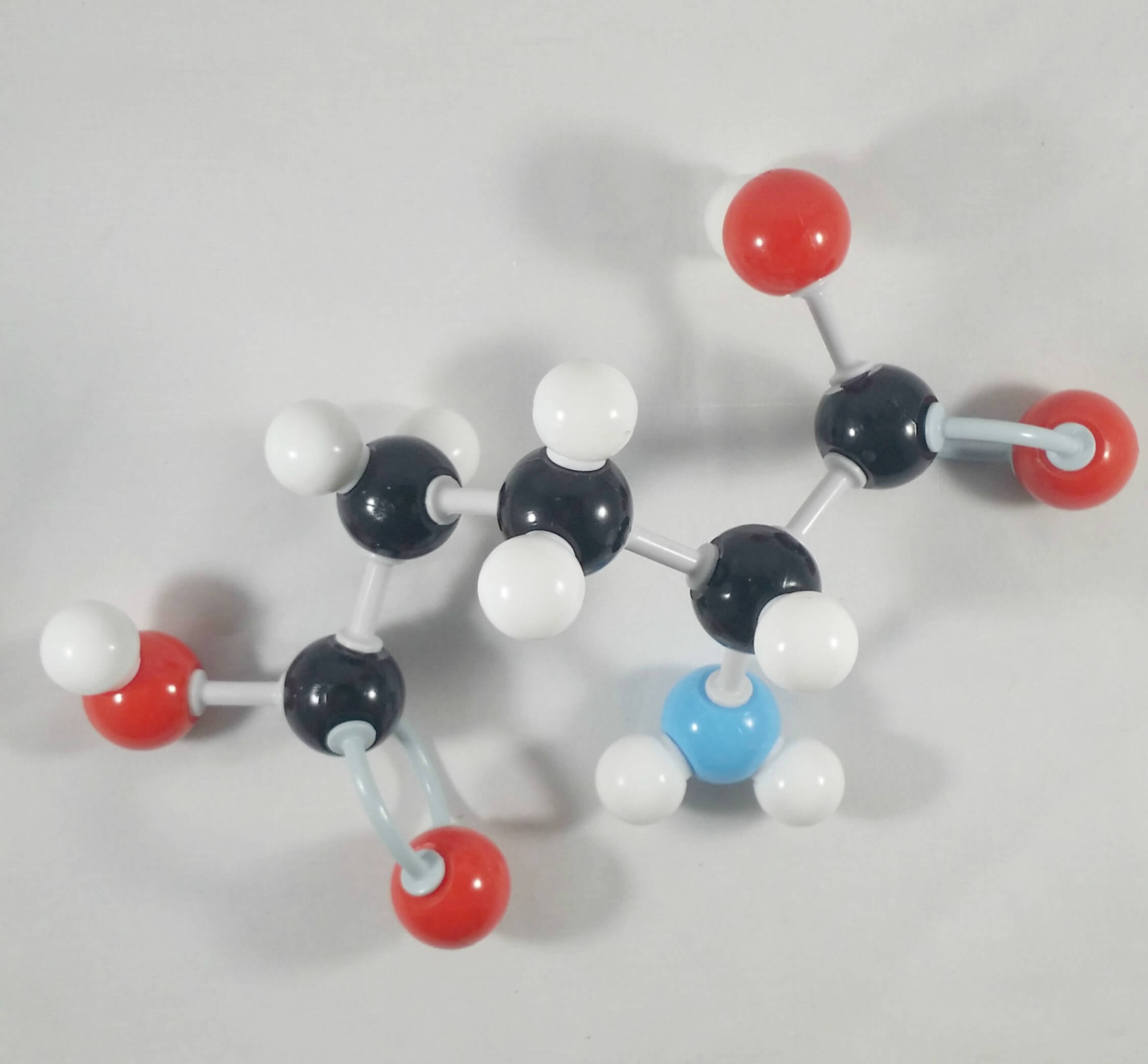 Glutamic Acid Molecule