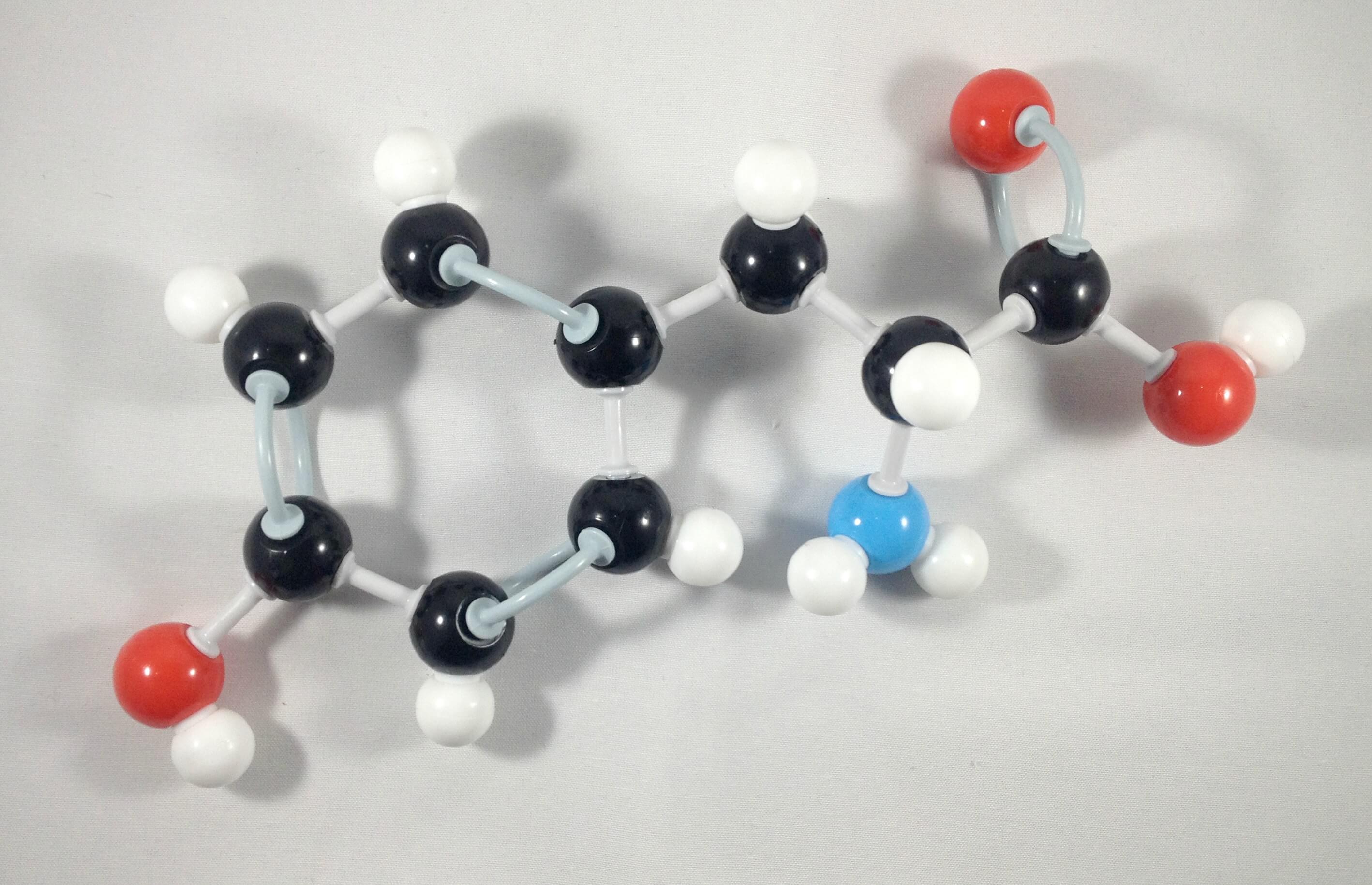 Tyrosine Molecule