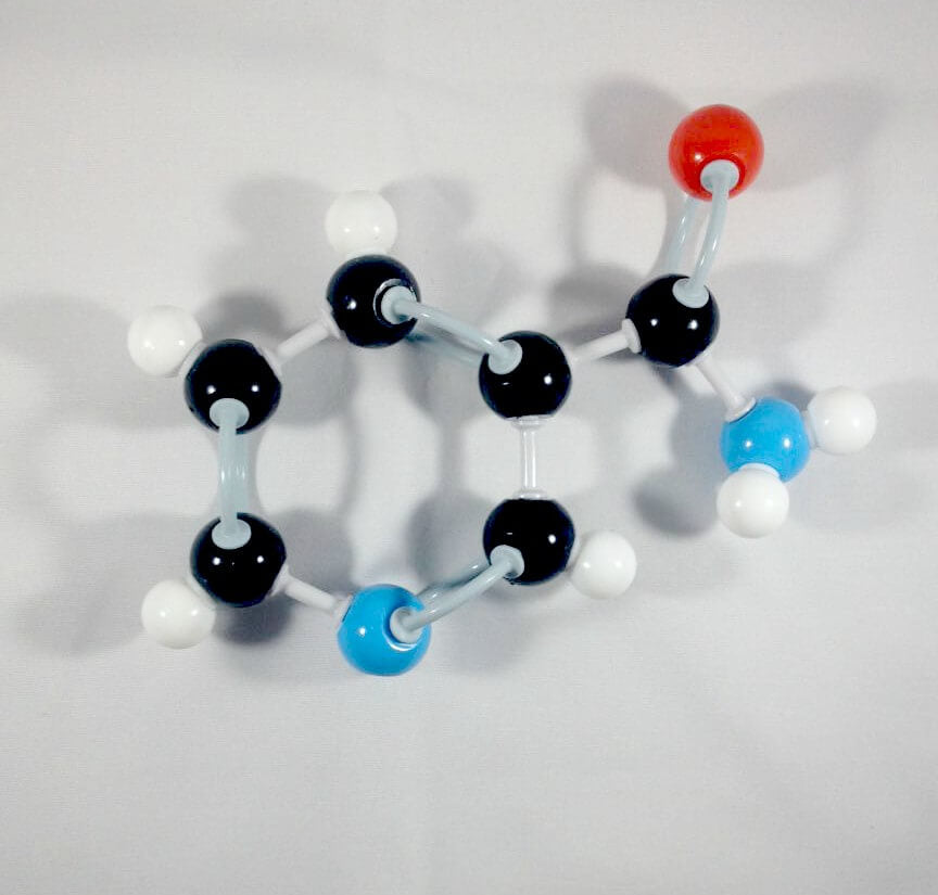 Nicotinamide Molecule