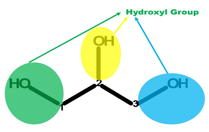 glycerol molecule 