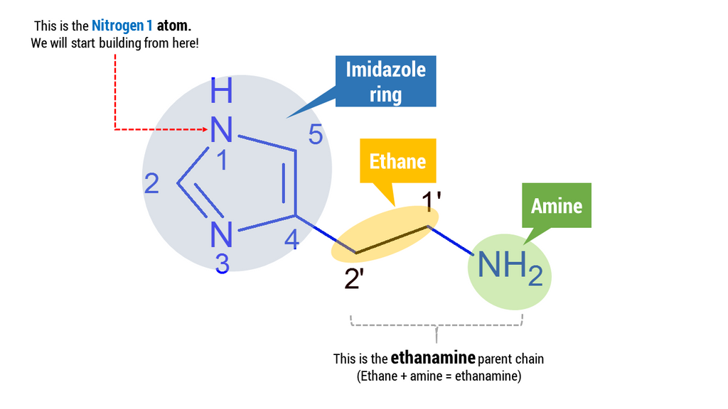 Histamine Molecular Structure 