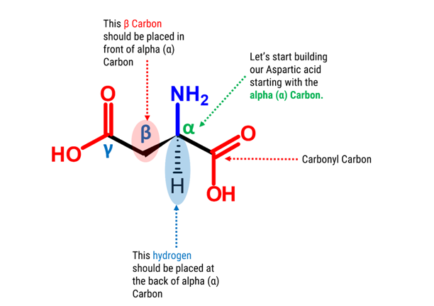 Aspartic Acid Molecule