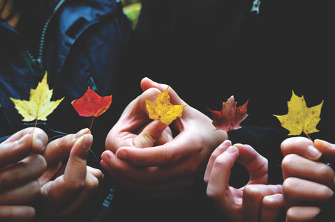 Four pairs of hands holding fall leaves.