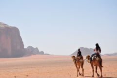 Riding with camel in desert