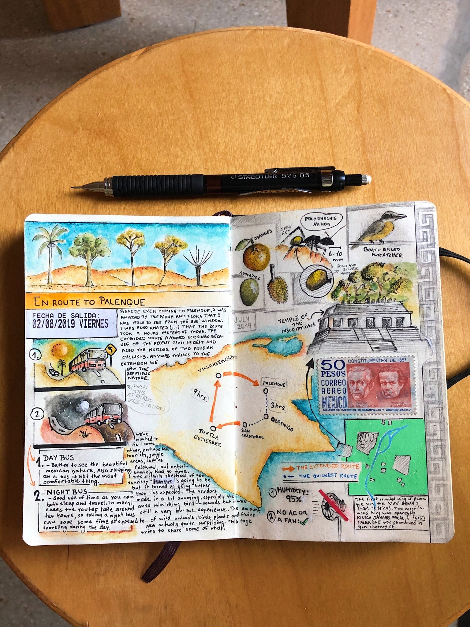 Mexico travel journal by Adam Hacklander