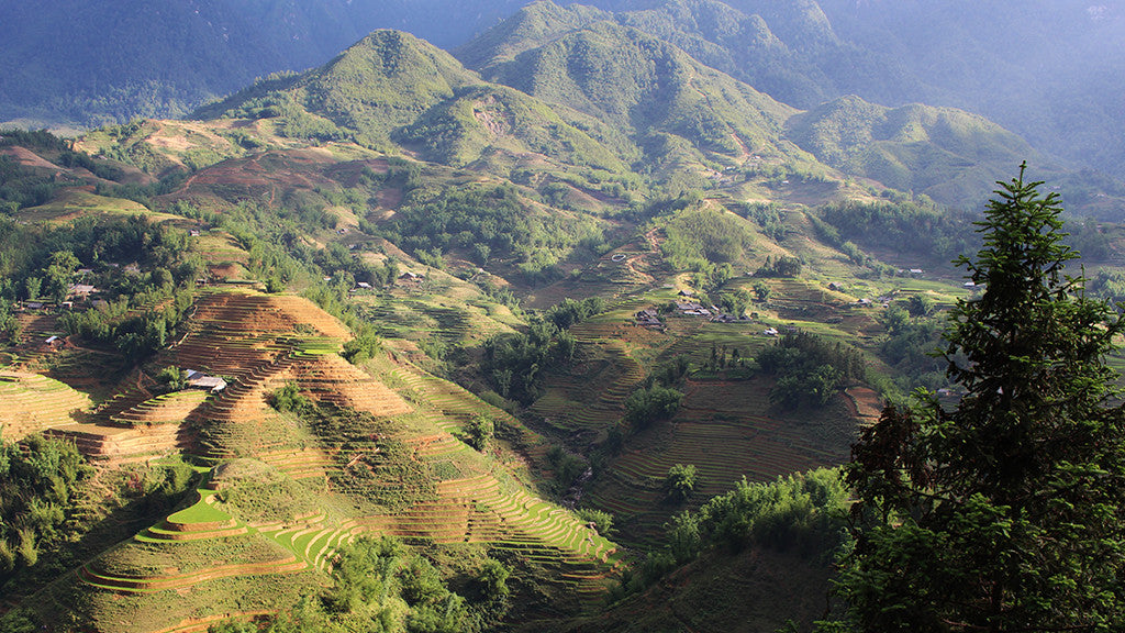 Mountains | Sapa | Vietnam