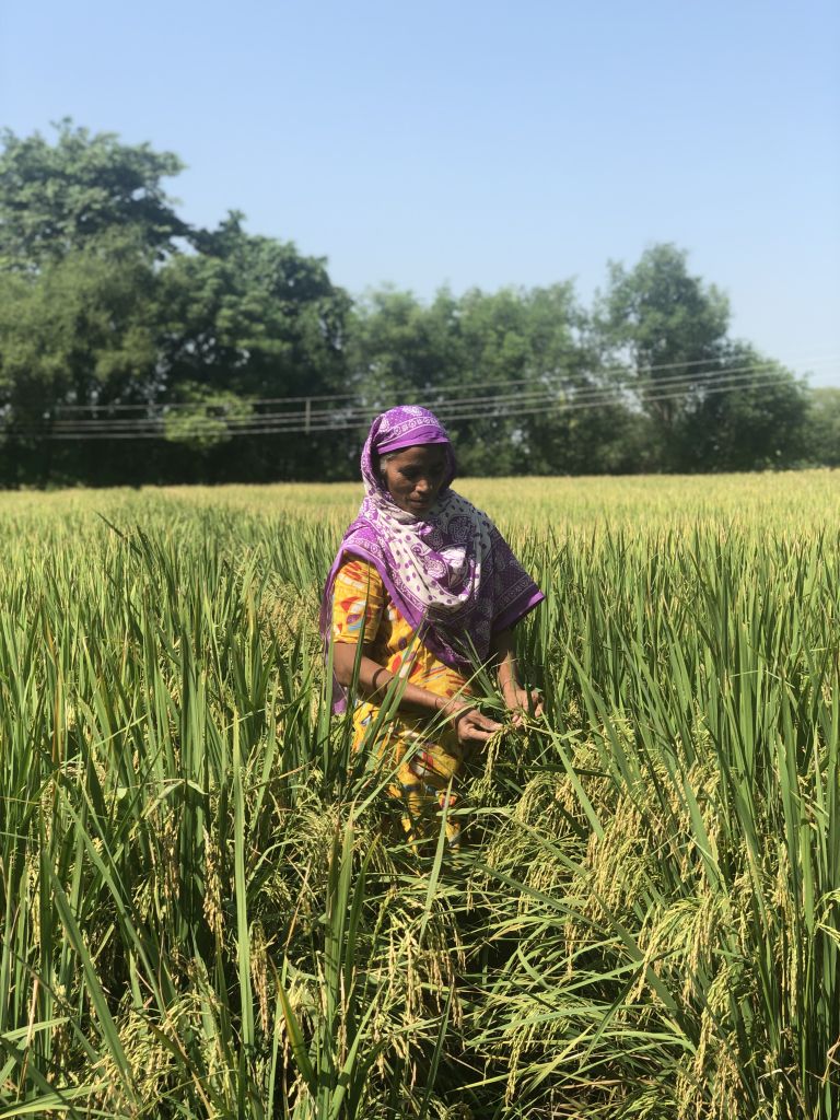 Malkiet in her field - Image courtesy of Balwaar
