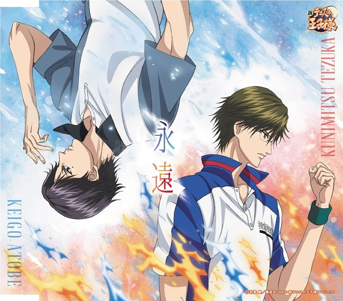 Theme Song The Prince Of Tennis Ova Best Games Tezuka Vs Atobe In