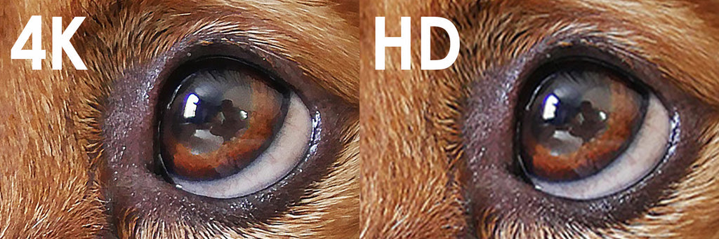 4K vs HD