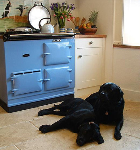 Aga and dogs