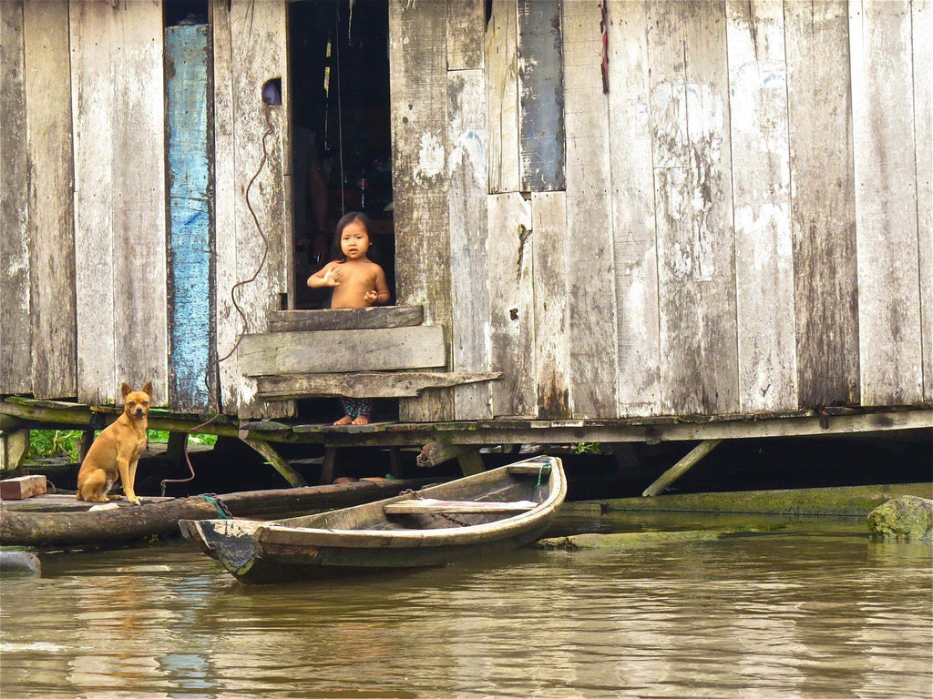 child and dog in wooden home