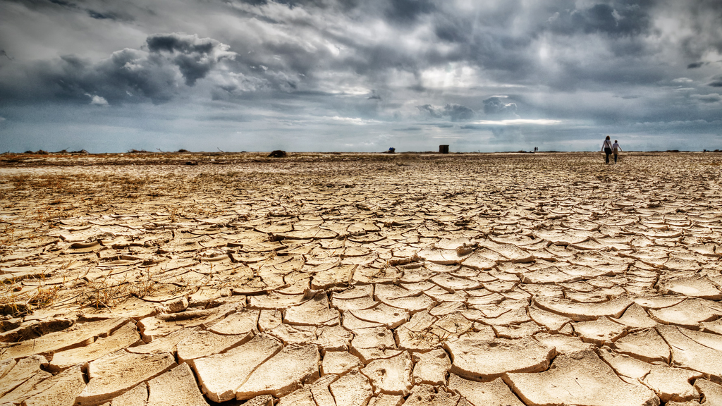 dry deforested earth