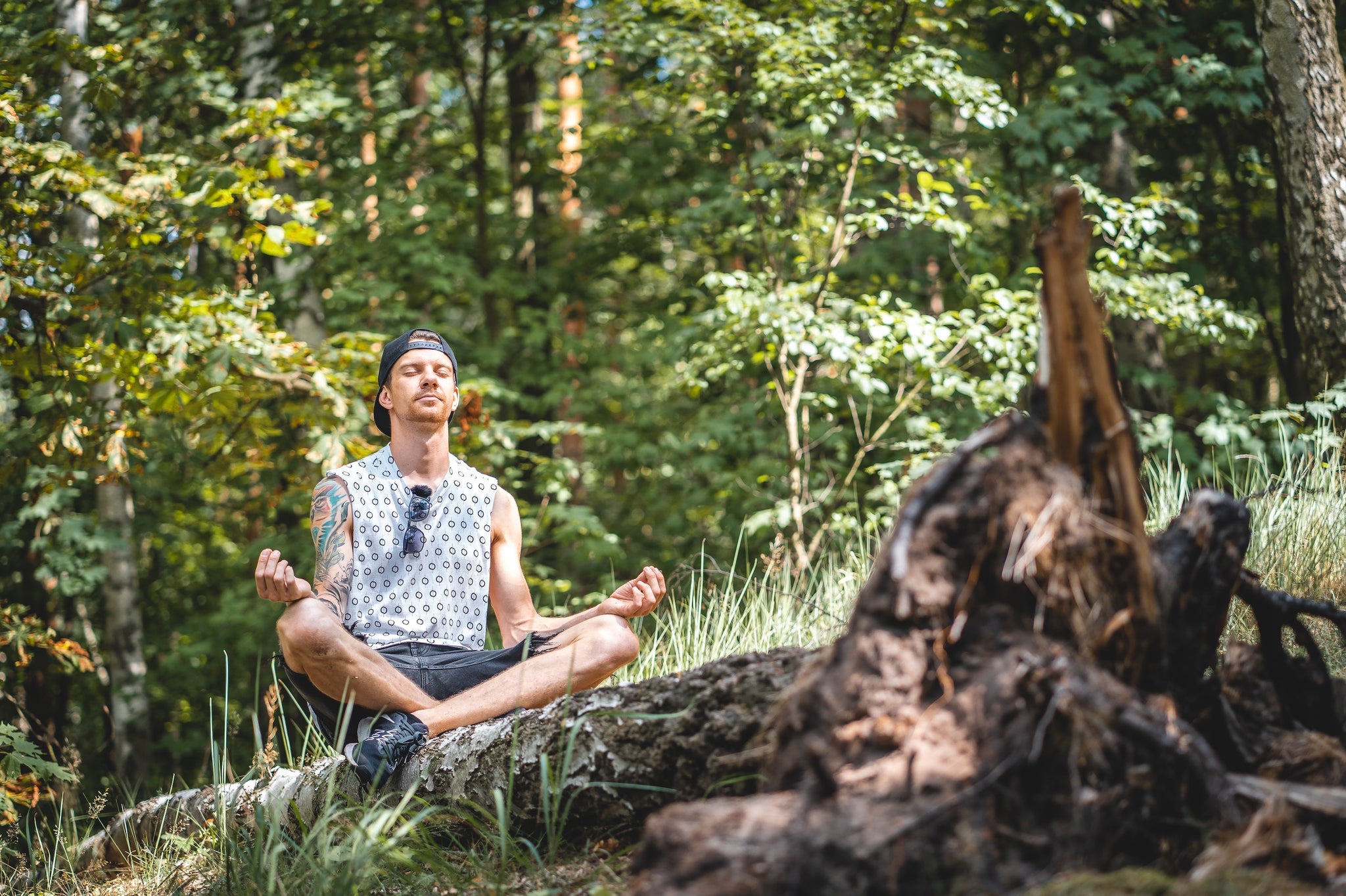 meditating in the forest