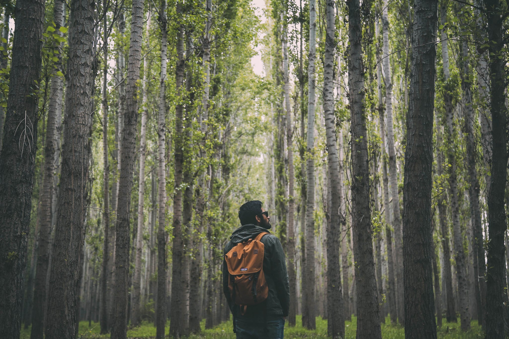 man hiking in the forest