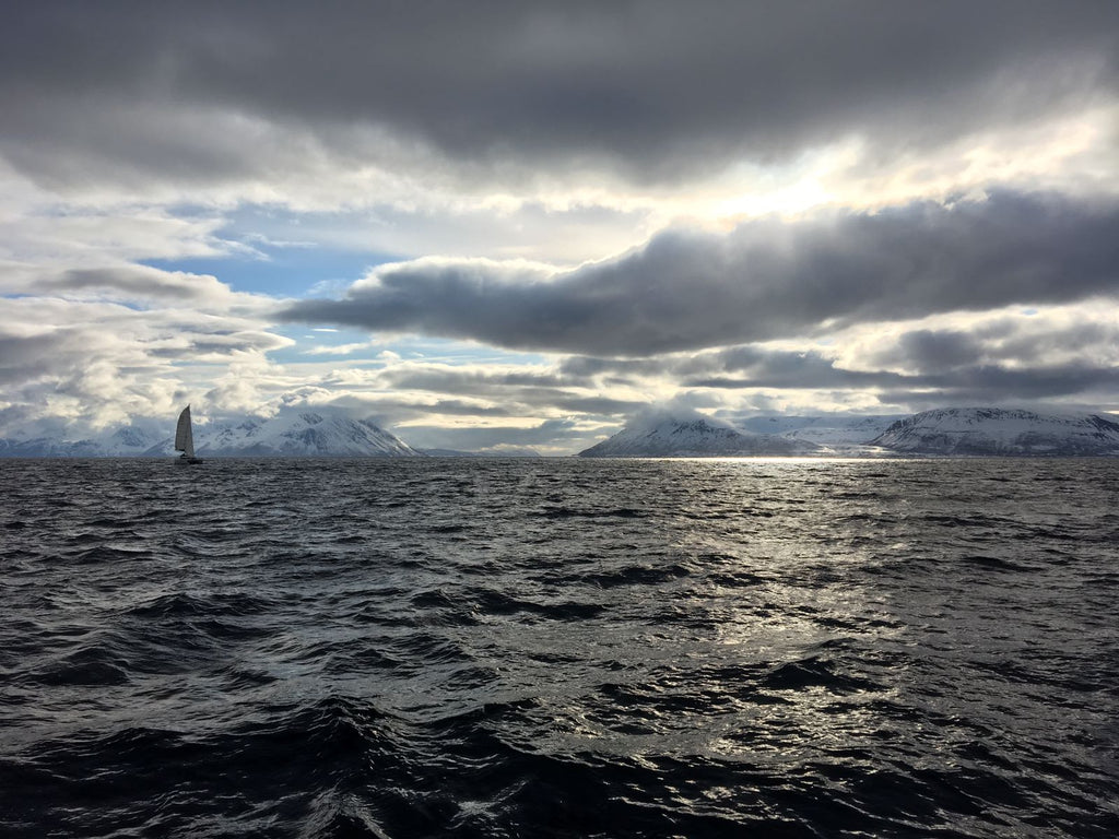 Sailing on the Arctic Princess