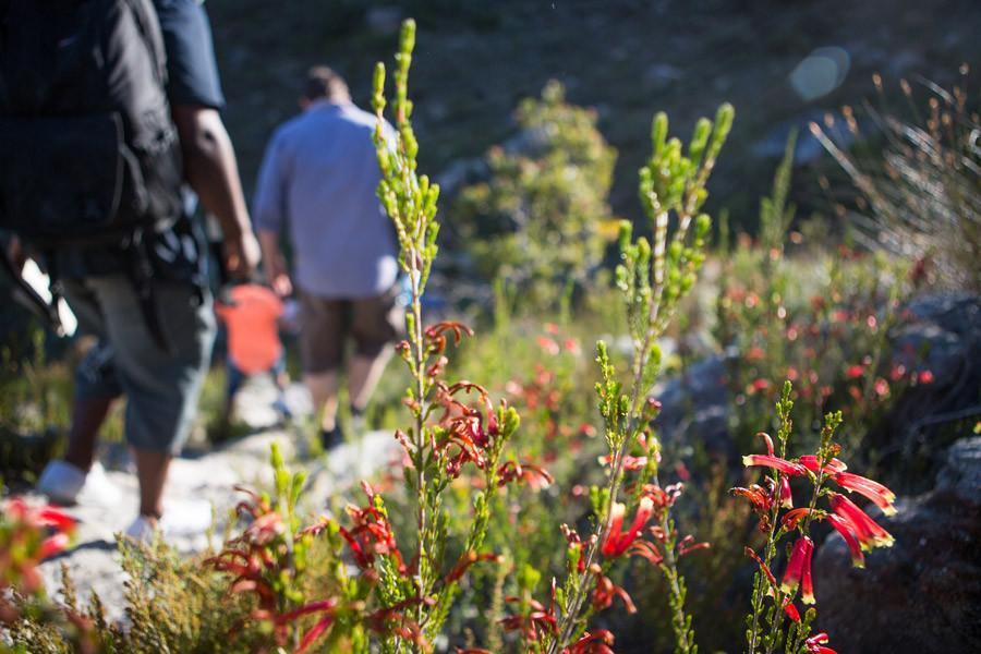 Hiking Trail - Self-guided: 19 June 2021