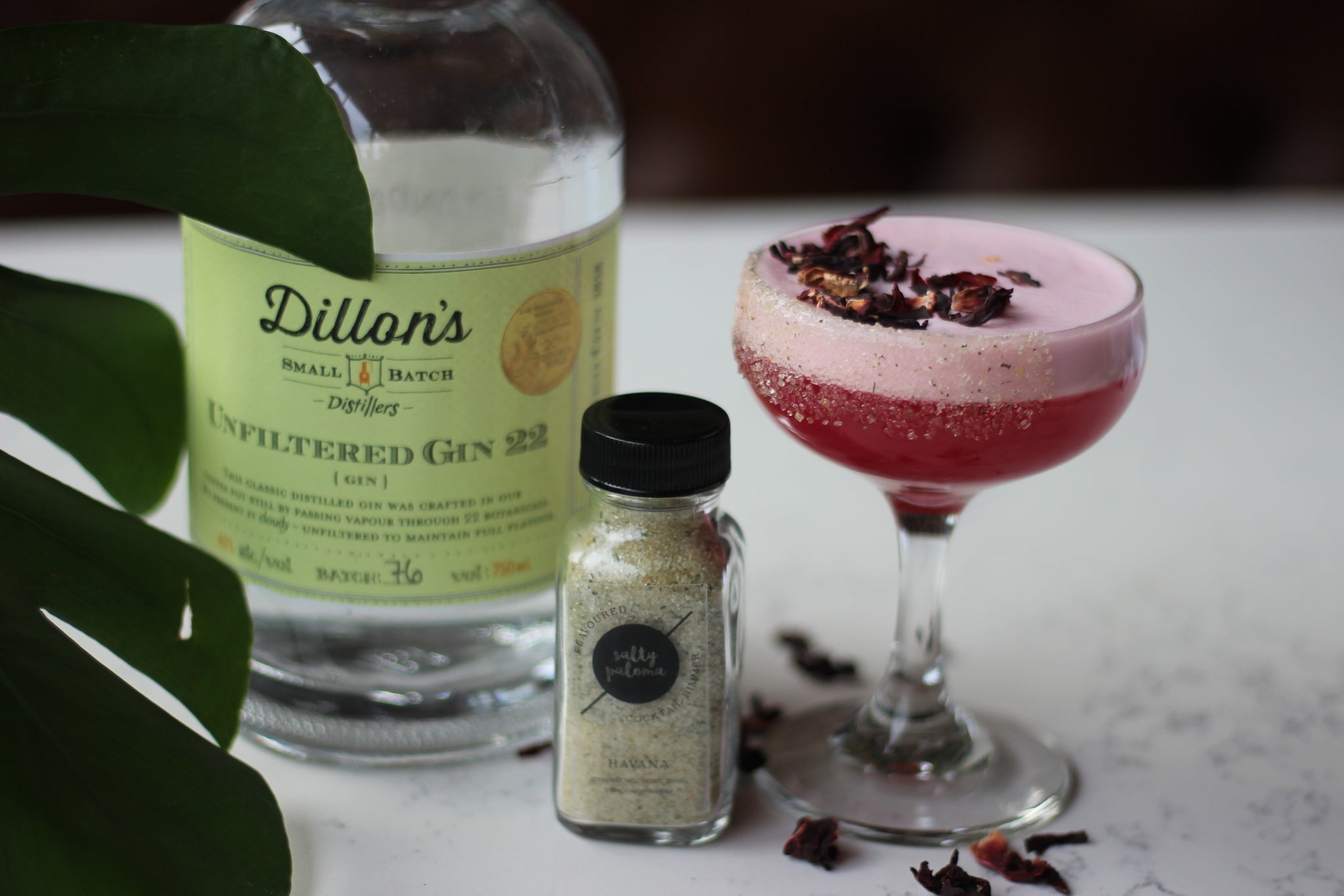 dillons salty paloma gin sour cocktail recipe