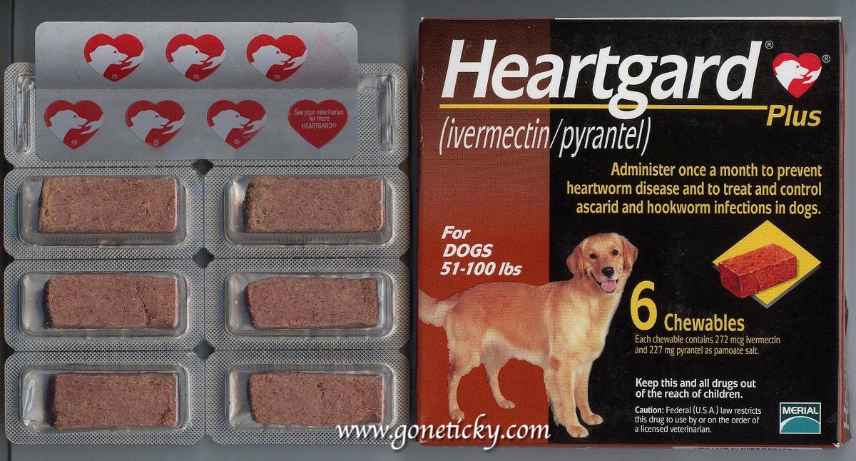 6 Chewable Beef Flavoured Heartgard Plus for Large Dogs Heartworm 511