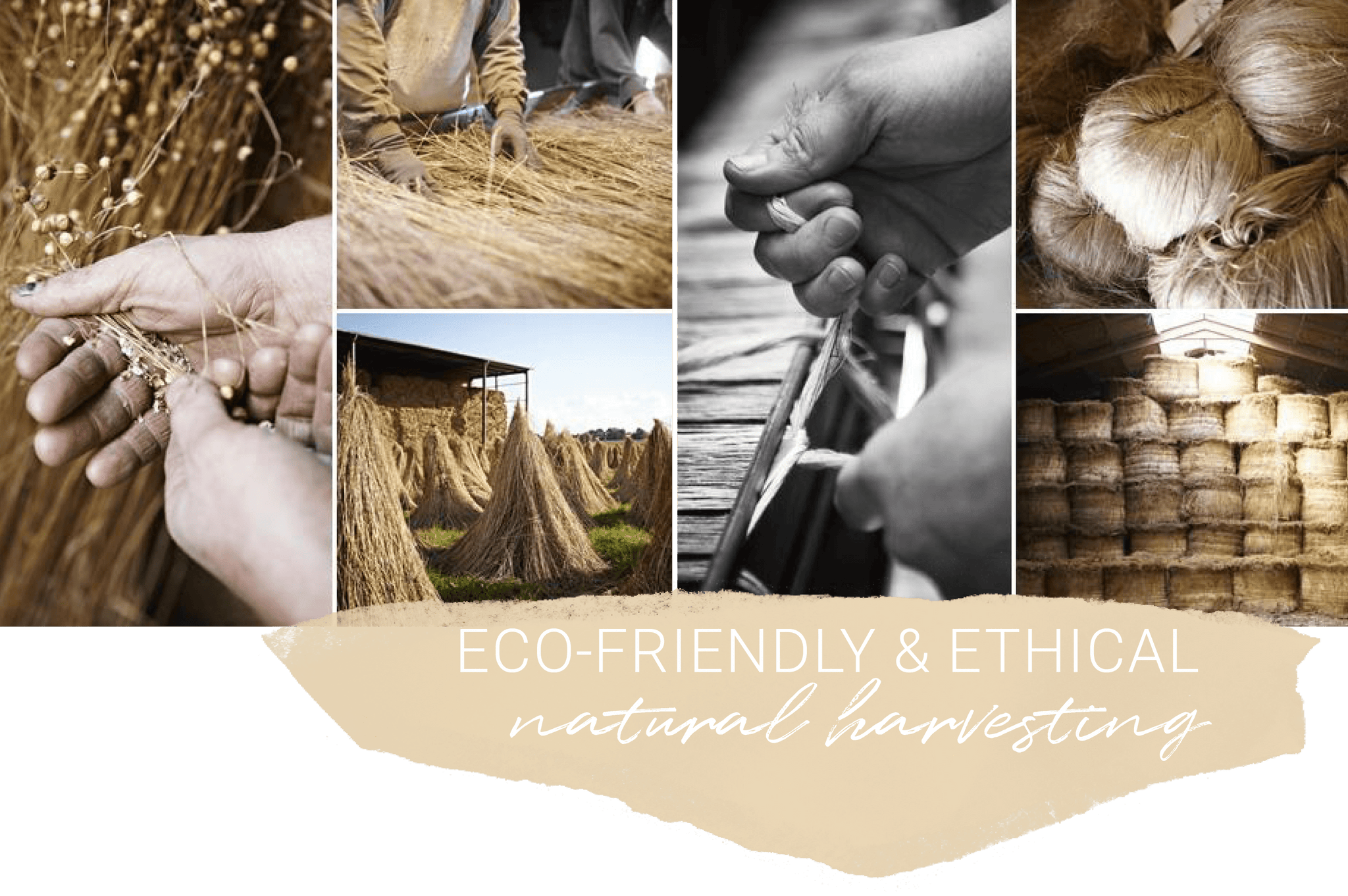 Eco-Friendly Linen Harvest