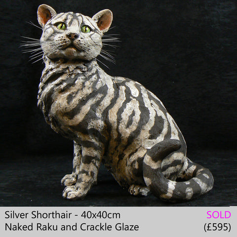 british shorthair cat sculpture, raku fired ceramic sculpture by Lesley D McKenzie