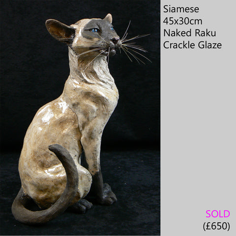 siamese cat sculpture, raku fired ceramic sculpture by Lesley D McKenzie