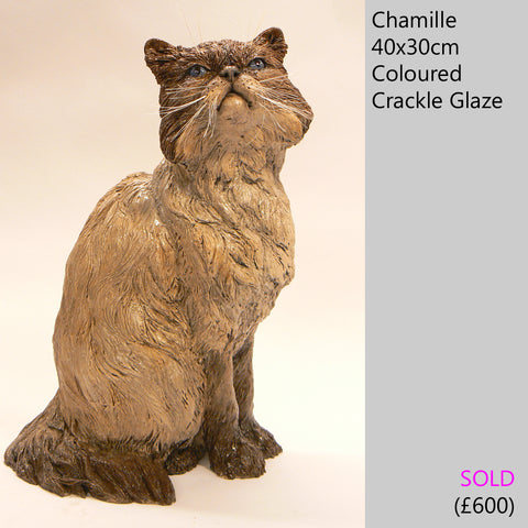 Himalayan cat sculpture, raku fired ceramic sculpture by Lesley D McKenzie