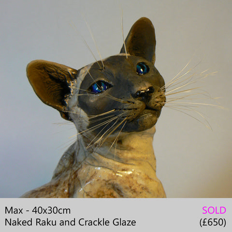 siamese cat sculpture, raku fired ceramic sculpture by Lesley D McKenzie