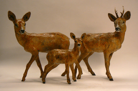 Roe Deer Family