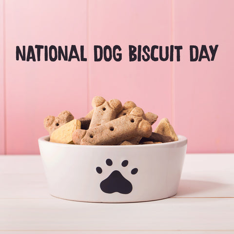national dog biscuit day free recipe