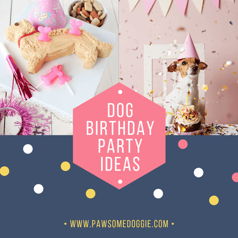 dog birthday party ideas