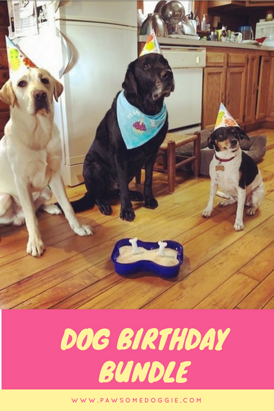 dog birthday bundle bday cake