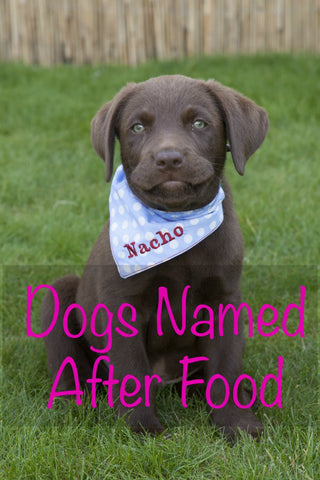 dogs named after food national dog day