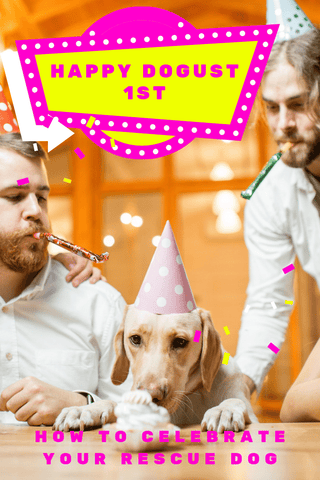 dogust first shelter rescue dog birthday celebration
