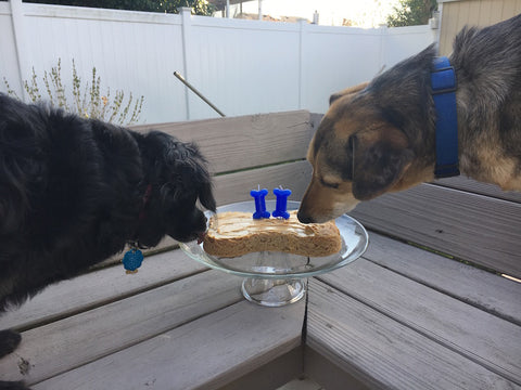 puppy cake dog birthday mix