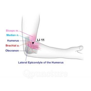 diagram of an arm highlighting its parts and acupressure point representation