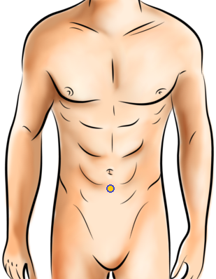 illustration of male torso with a yellow dot in the middle of lower abdomen