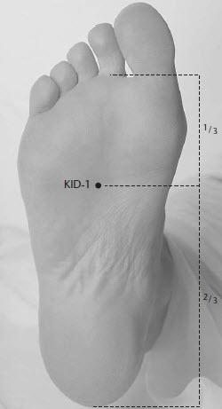 grayscale image of the bottom of a foot with dots as acupressure point representation