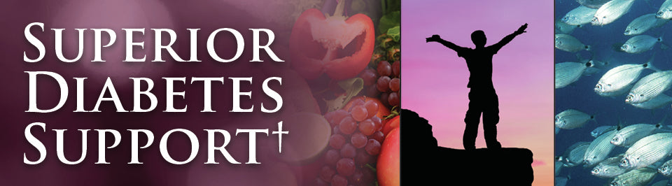 Superior Diabetes Support Banner