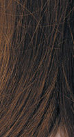 Hairdo Color R4HH Chestnut Brown