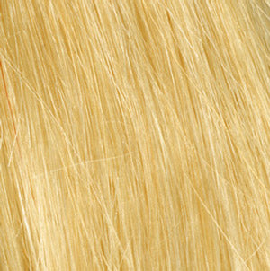 Color R10HH Extra Light Blonde