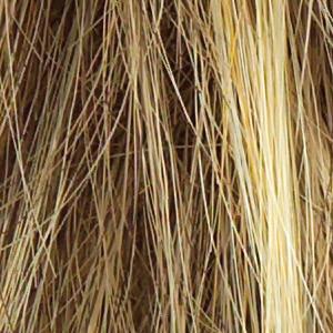 Special Edition Wig