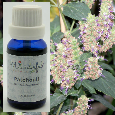 Patchouli Plant and Wonderful Scents Patchouli Essential Oil
