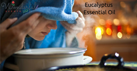 Wonderful Scents Eucalyptus Essential Oil Steam